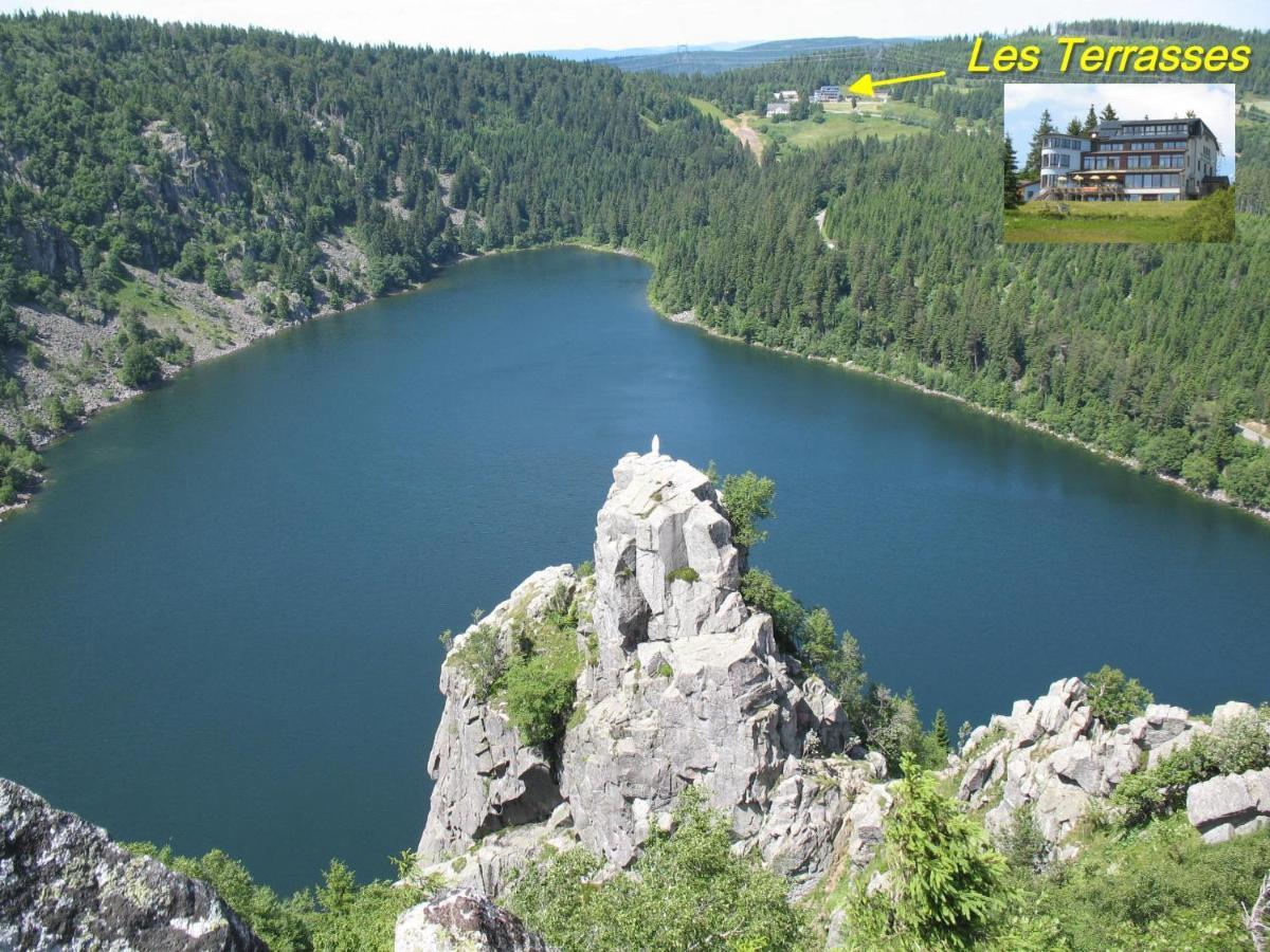 Les Terrasses Du Lac Blanc - Studios & Appartements Orbey Zewnętrze zdjęcie