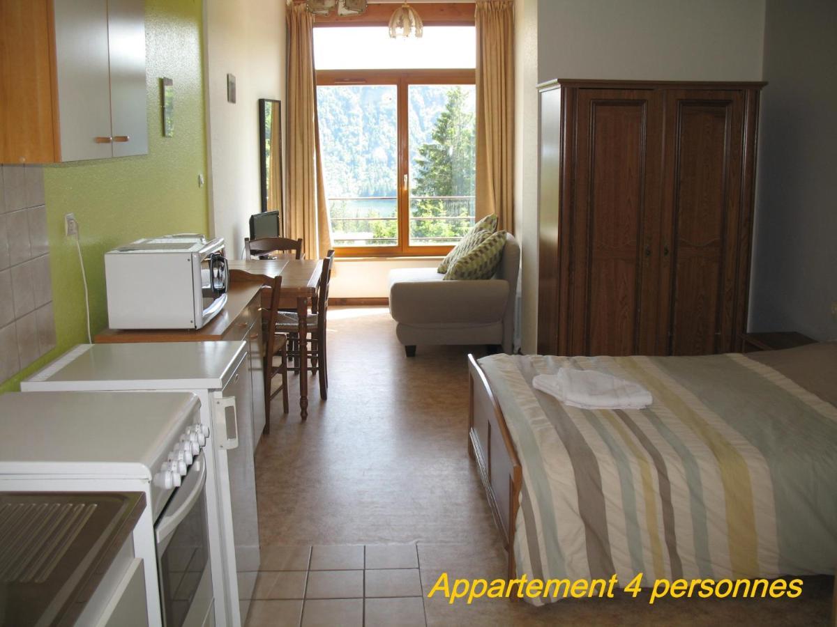 Les Terrasses Du Lac Blanc - Studios & Appartements Orbey Zewnętrze zdjęcie