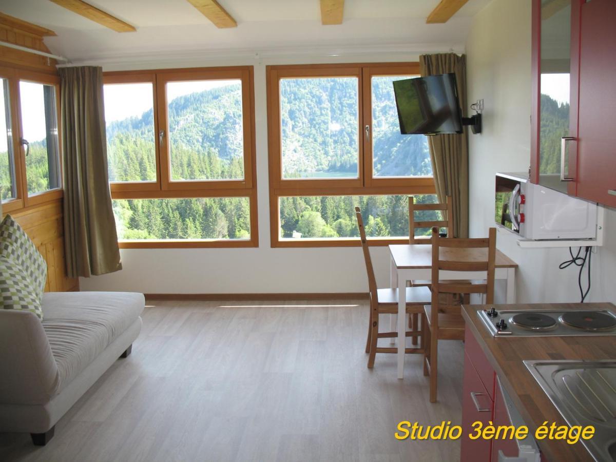 Les Terrasses Du Lac Blanc - Studios & Appartements Orbey Zewnętrze zdjęcie